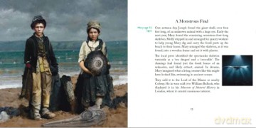 She Sold Seashells - Wolfgang Grulke [KSIĄŻKA]