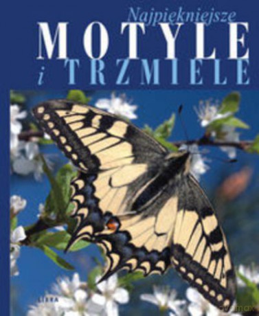 Najpiękniejsze Motyle I Trzmiele - Buszko J., Bury [KSIĄŻKA]