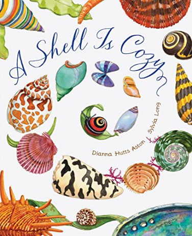 Shell Is Cozy - Dianna Hutts Aston [KSIĄŻKA]