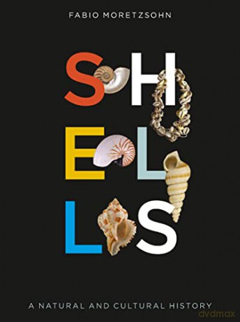 Shells - Fabio Moretzsohn [KSIĄŻKA]