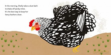 Shelly Hen - Deborah Chancellor [KSIĄŻKA]