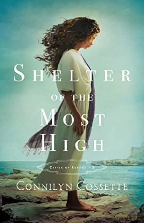 Shelter Of The Most High - Cossette Connilyn [KSIĄŻKA]
