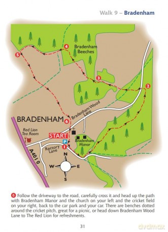 Short Walks In The Chilterns - Lj Stocks [KSIĄŻKA]