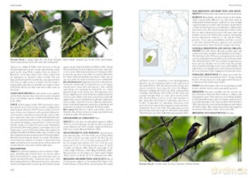 Shrikes Of The World - Norbert Lefranc [KSIĄŻKA]