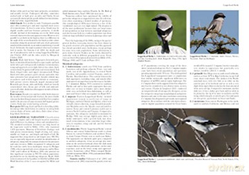 Shrikes Of The World - Norbert Lefranc [KSIĄŻKA]