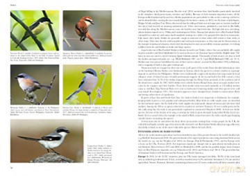 Shrikes Of The World - Norbert Lefranc [KSIĄŻKA]