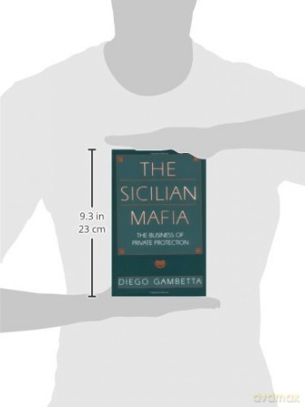 Sicilian Mafia: The Business Of Private - Diego Gambetta [KSIĄŻKA]