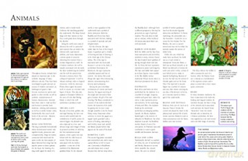 Signs Symbols Dream Interpretation - Mark O'connell [KSIĄŻKA]