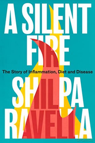 Silent Fire - Shilpa Ravella [KSIĄŻKA]