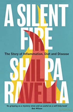 Silent Fire - Shilpa Ravella [KSIĄŻKA]