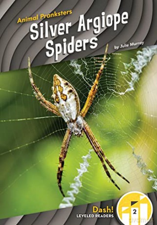 Silver Argiope Spiders - Julie Murray [KSIĄŻKA]