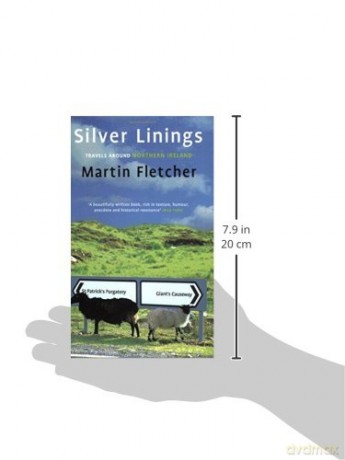 Silver Linings - Martin Fletcher [KSIĄŻKA]