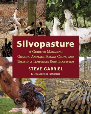 Silvopasture - Steve Gabriel [KSIĄŻKA]