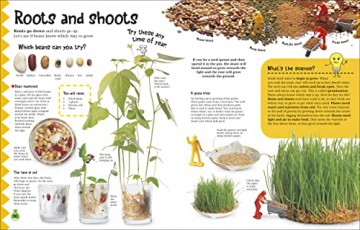 Simple Science Activity Book - Jane Bull [KSIĄŻKA]