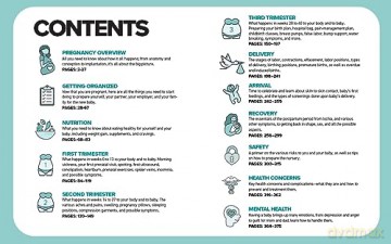 Simplest Pregnancy Book In The World - S M Gross [KSIĄŻKA]