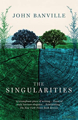 Singularities - John Banville [KSIĄŻKA]