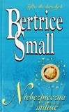 Niebezpieczna Miłość - Small Bertrice [KSIĄŻKA]