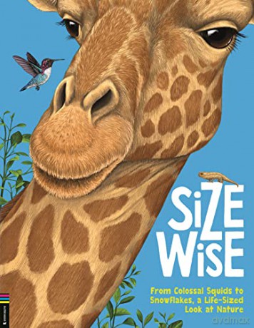 Size Wise - De La Cam Bedoyere [KSIĄŻKA]