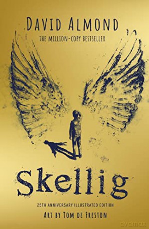 Skellig 25th Anniversary Illustrated Ed - David Almond [KSIĄŻKA]