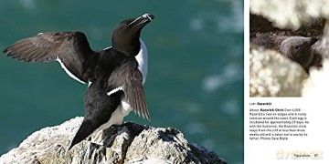 Skomer Compact Editiion - Jane Matthews [KSIĄŻKA]