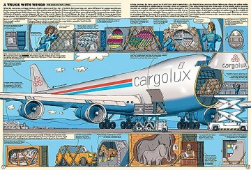 Sky High: A Soaring History Of Aviation - Jacek Ambrozewski [KSIĄŻKA]