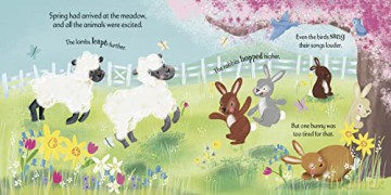 Sleepy Bunny - Clare Wilson [KSIĄŻKA]