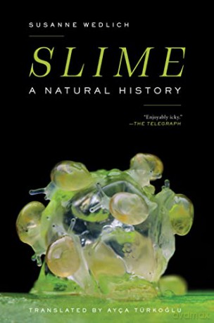 Slime - Susanne Wedlich [KSIĄŻKA]