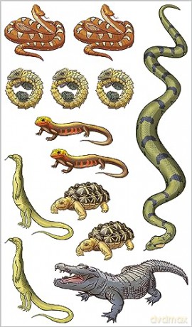 Slithering Scaly Tattoo Snakes Other Rep [KSIĄŻKA]