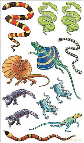 Slithering Scaly Tattoo Snakes Other Rep [KSIĄŻKA]
