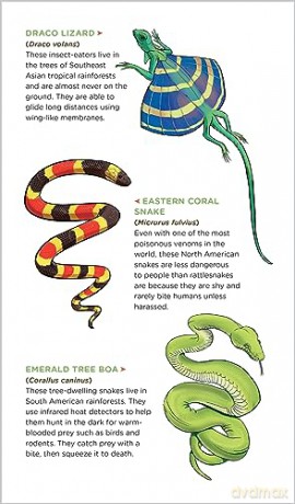 Slithering Scaly Tattoo Snakes Other Rep [KSIĄŻKA]