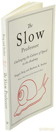 Slow Professor - Maggie Berg [KSIĄŻKA]