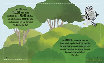 Small And Mighty Book Of Rainforests - Clive Gifford [KSIĄŻKA]