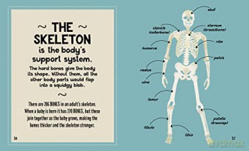Small And Mighty Book Of The Human Body - Tom Jackson [KSIĄŻKA]