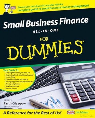 Small Business Finance All In One/Dummie - Faith Glasgow [KSIĄŻKA]