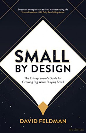 Small By Design: The Entrepreneur's Guid - David Feldman [KSIĄŻKA]