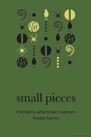 Small Pieces - Micheline Marcom [KSIĄŻKA]