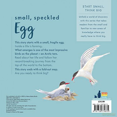 Small Speckled Egg - Mary Auld [KSIĄŻKA]