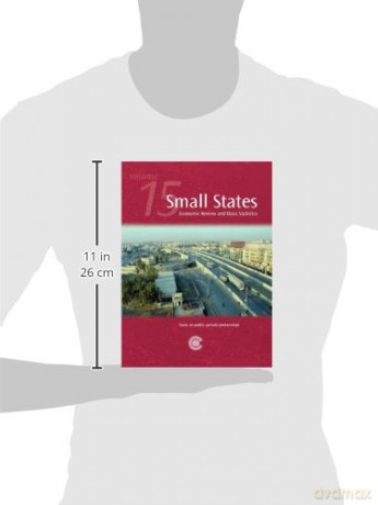 Small States [KSIĄŻKA]