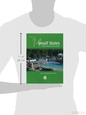 Small States [KSIĄŻKA]