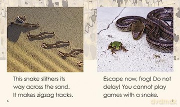 Snakes Day - Bronwyn Tainui [KSIĄŻKA]