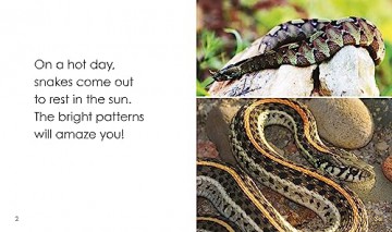 Snakes Day - Bronwyn Tainui [KSIĄŻKA]