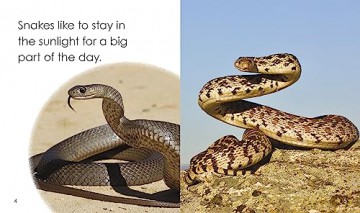 Snakes Day - Bronwyn Tainui [KSIĄŻKA]