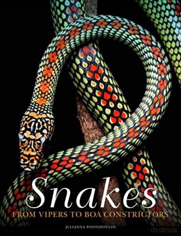 Snakes From Vipers To Boa Constrictors - J Photopoulos [KSIĄŻKA]