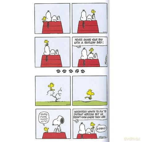 Snoopy Cowabunga - Charles M Schulz [KSIĄŻKA]