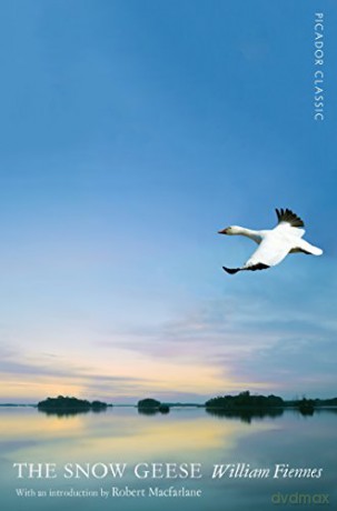Snow Geese - William Fiennes [KSIĄŻKA]