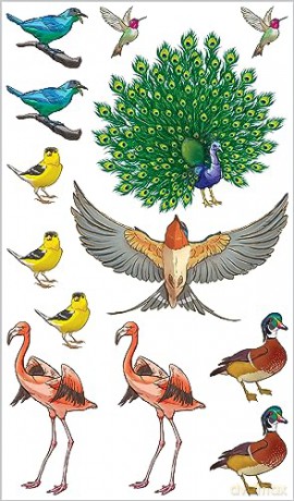 Soaring Singing Tattoo Birds - K. L. Murphy [KSIĄŻKA]