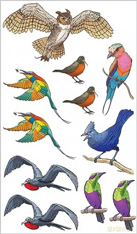 Soaring Singing Tattoo Birds - K. L. Murphy [KSIĄŻKA]