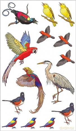 Soaring Singing Tattoo Birds - K. L. Murphy [KSIĄŻKA]