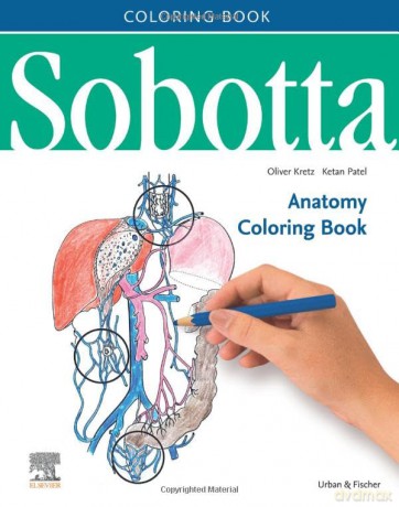 Sobotta Anatomy Coloring Book Englisch [KSIĄŻKA]