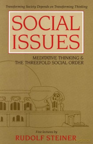 Social Issues [KSIĄŻKA]